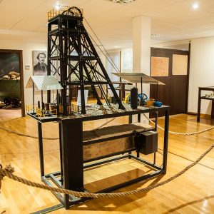 Visita al museo de la plata
